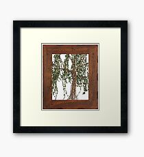 Full Summer Willow Framed Print
