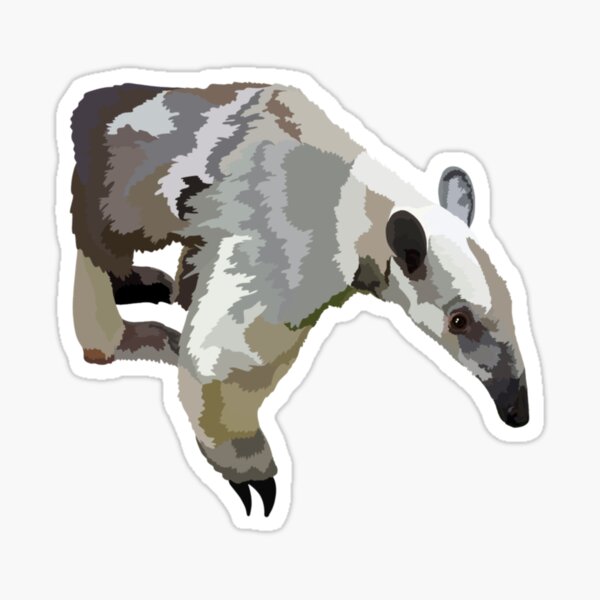 Tamandua Gifts & Merchandise for Sale