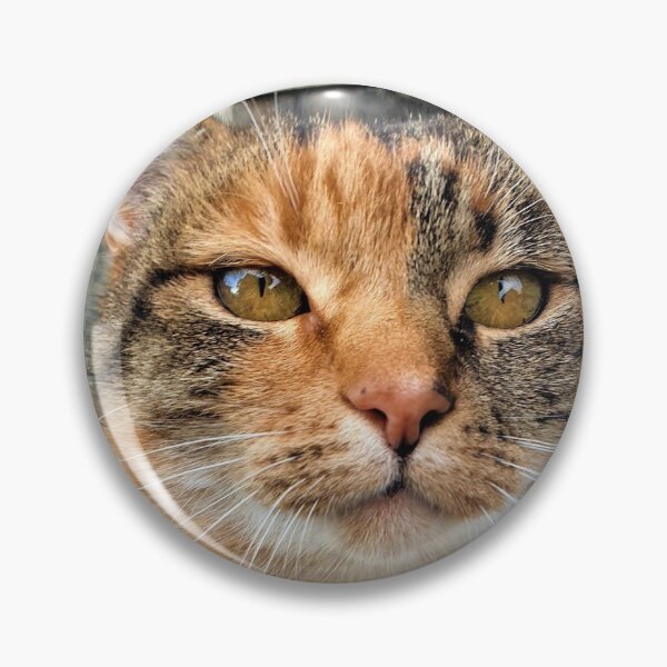 Item preview, CUTE CAT LOOK designed and sold by MerryBart.