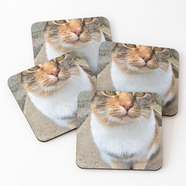 Item preview, CUTE CAT LOOK designed and sold by MerryBart.