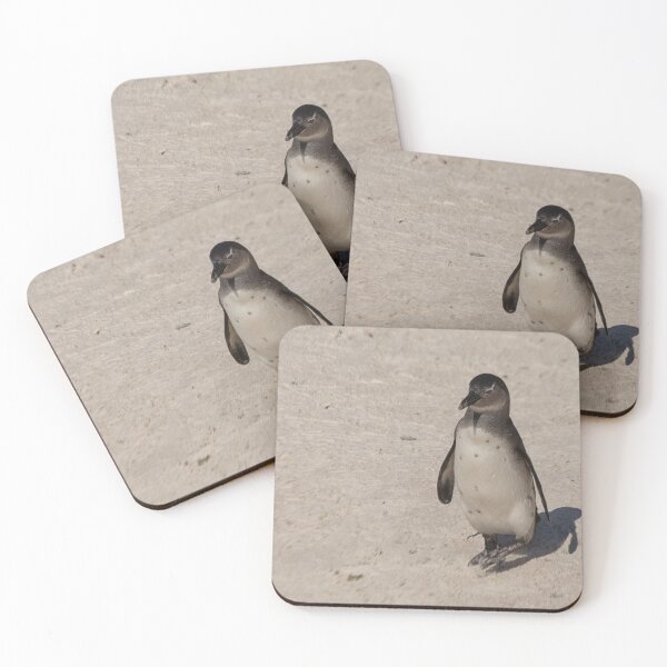 Item preview, African Penguin alone designed and sold by Photopat.