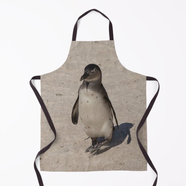 Item preview, African Penguin alone designed and sold by Photopat.