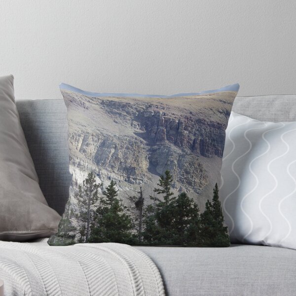 Item preview, New Mexico - Wheeler Peak Area 12,000 ft - Red River designed and sold by seymourpics.