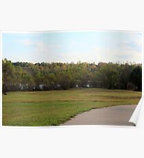 Lush Green Poster