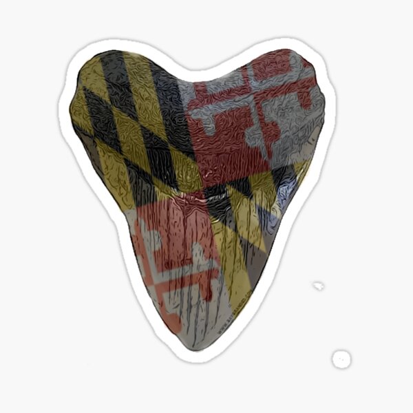 Item preview, Sharks Tooth Megalodon Fossil with Maryland Flag Overlay designed and sold by baybranded.