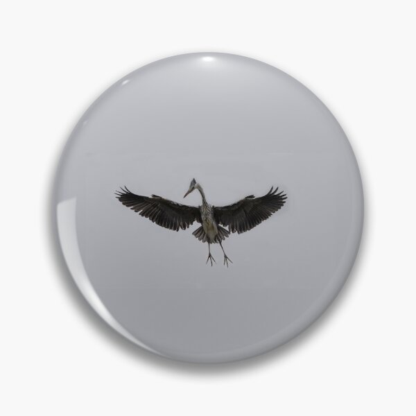Item preview, Grey heron in flight designed and sold by pietrofoto.