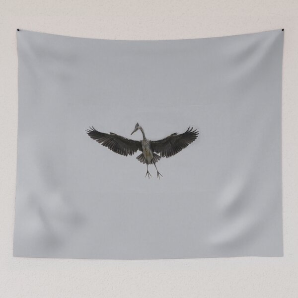 Item preview, Grey heron in flight designed and sold by pietrofoto.