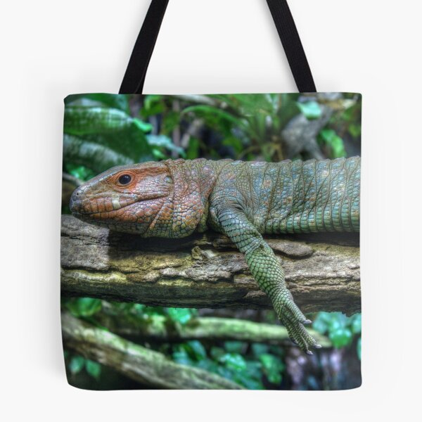 Item preview, Dracaena guianensis designed and sold by Mythos57.