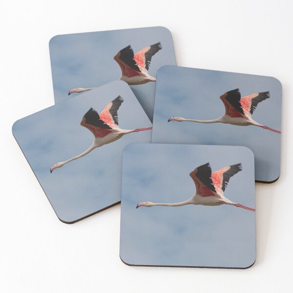 Item preview, Greater flamingo in flight designed and sold by pietrofoto.