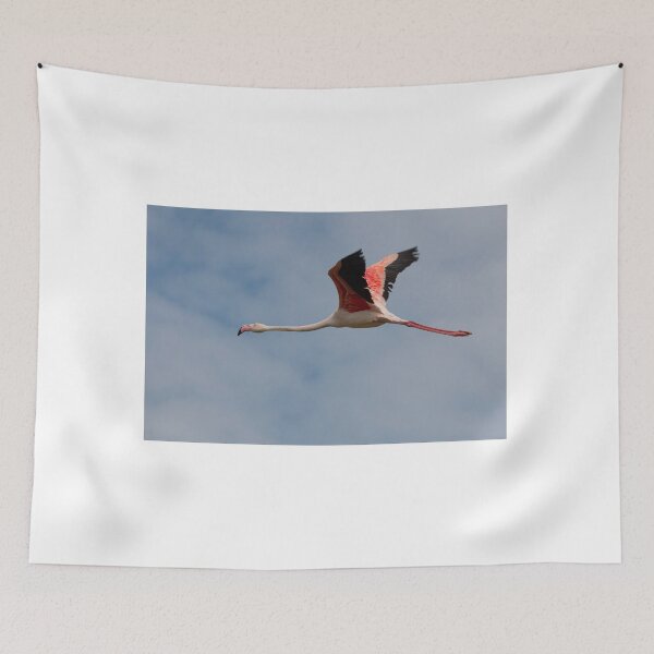 Item preview, Greater flamingo in flight designed and sold by pietrofoto.