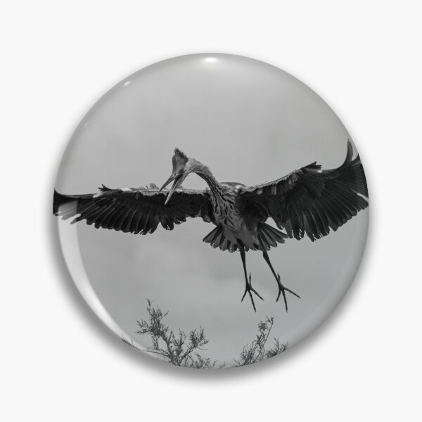 Item preview, Angry grey heron in flight designed and sold by pietrofoto.
