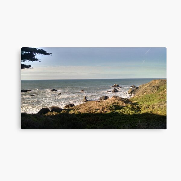 Shell Beach Canvas Print