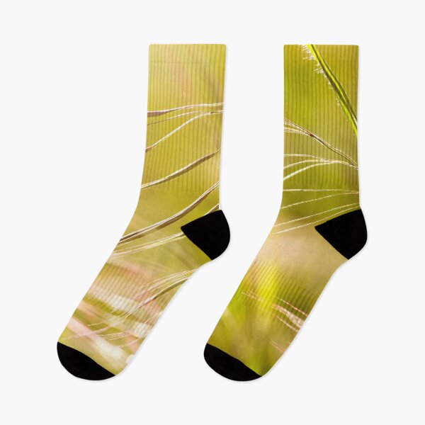 Item preview, Grassland in Backlight in a Sunny Sprig Day on the Meadow designed and sold by digoarpi.