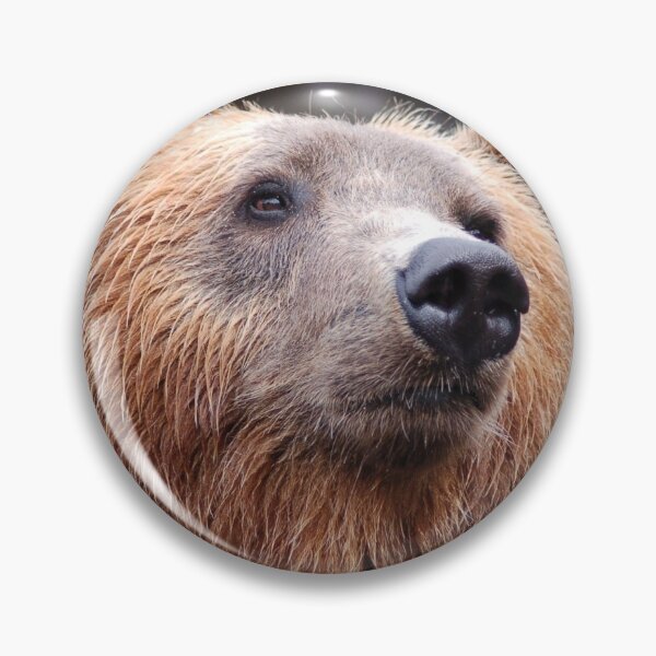 Item preview, This Is Papa Bear Nation designed and sold by TeesbyGinyard.