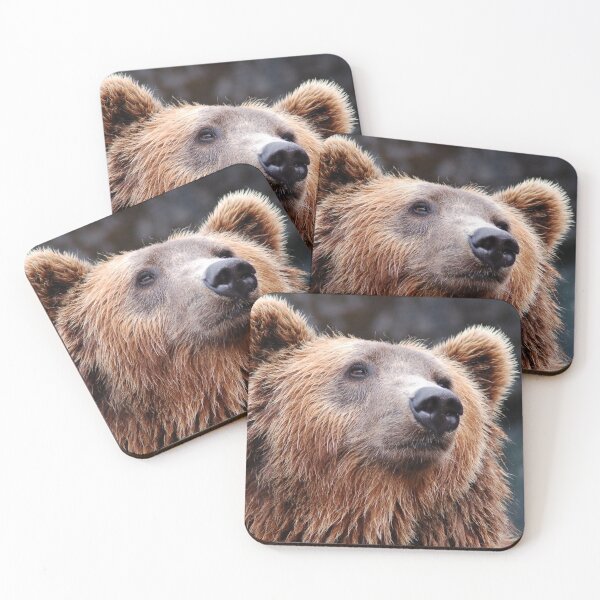 Item preview, This Is Papa Bear Nation designed and sold by TeesbyGinyard.