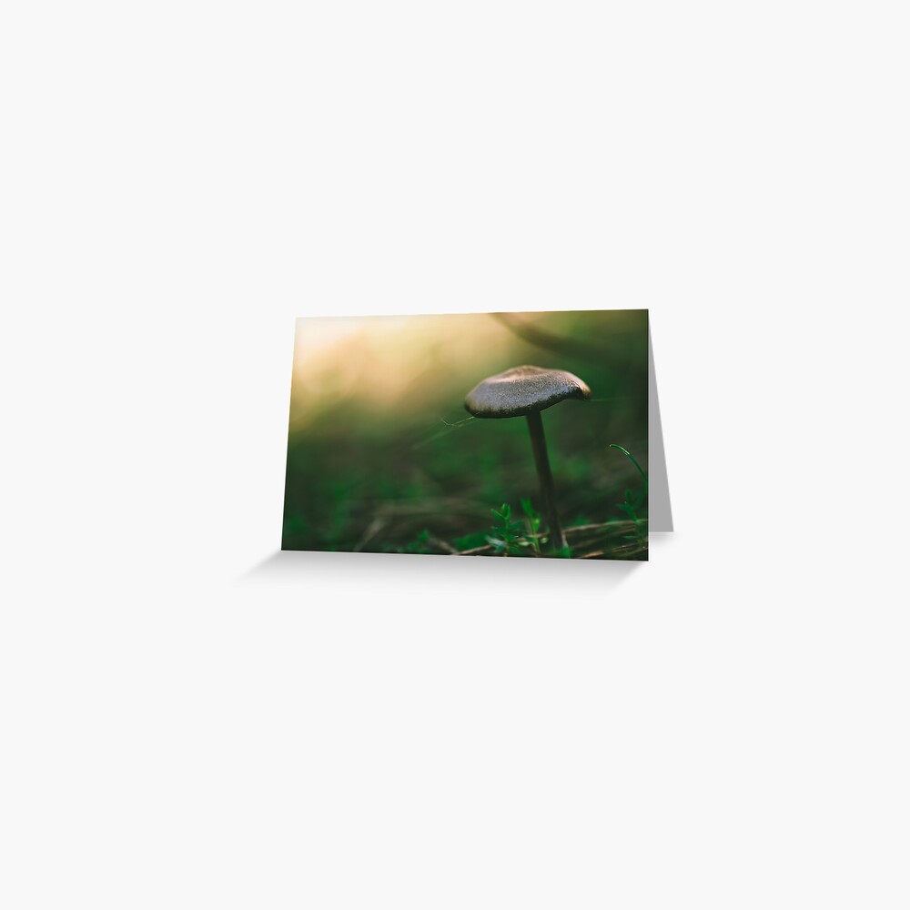 Vista previa del artículo con la obra «Tarjetas de felicitación», diseñado y vendido por ILODESIGNS.
