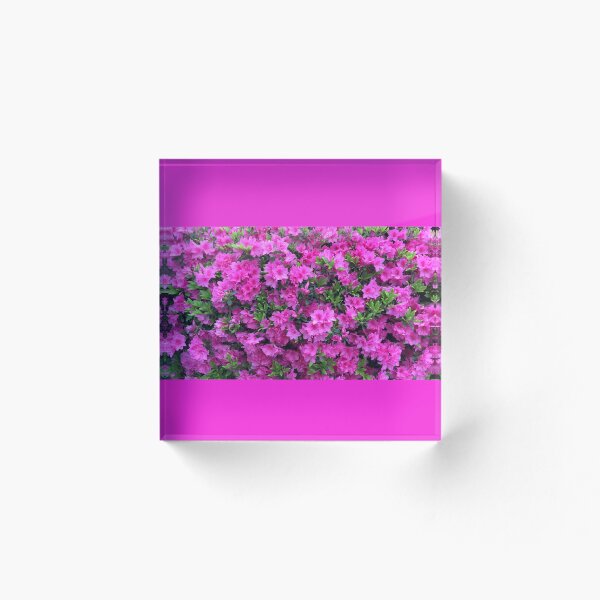 Item preview, Beautiful flowers designed and sold by Snicel69.