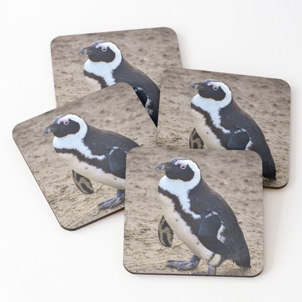 Item preview, Cute standing African penguin designed and sold by cdkphotos.