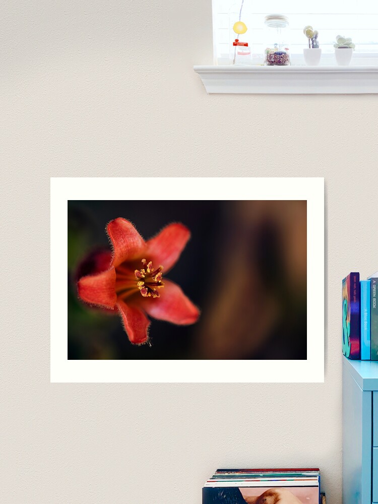 Imagen 2 de 3, Lámina artística con la obra flor suculenta, diseñada y vendida por ILODESIGNS.