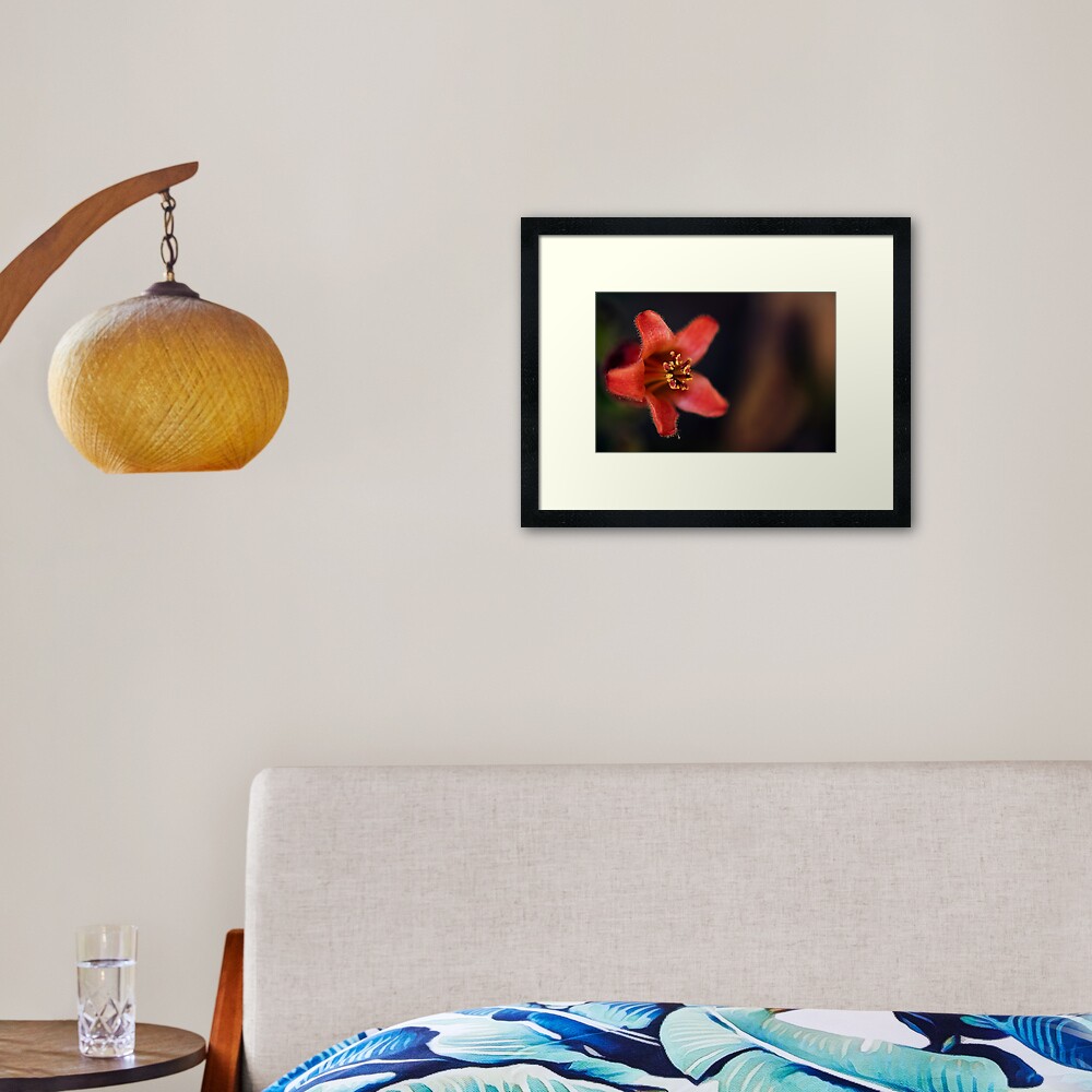 Vista previa del artículo con la obra «Lámina enmarcada», diseñado y vendido por ILODESIGNS.
