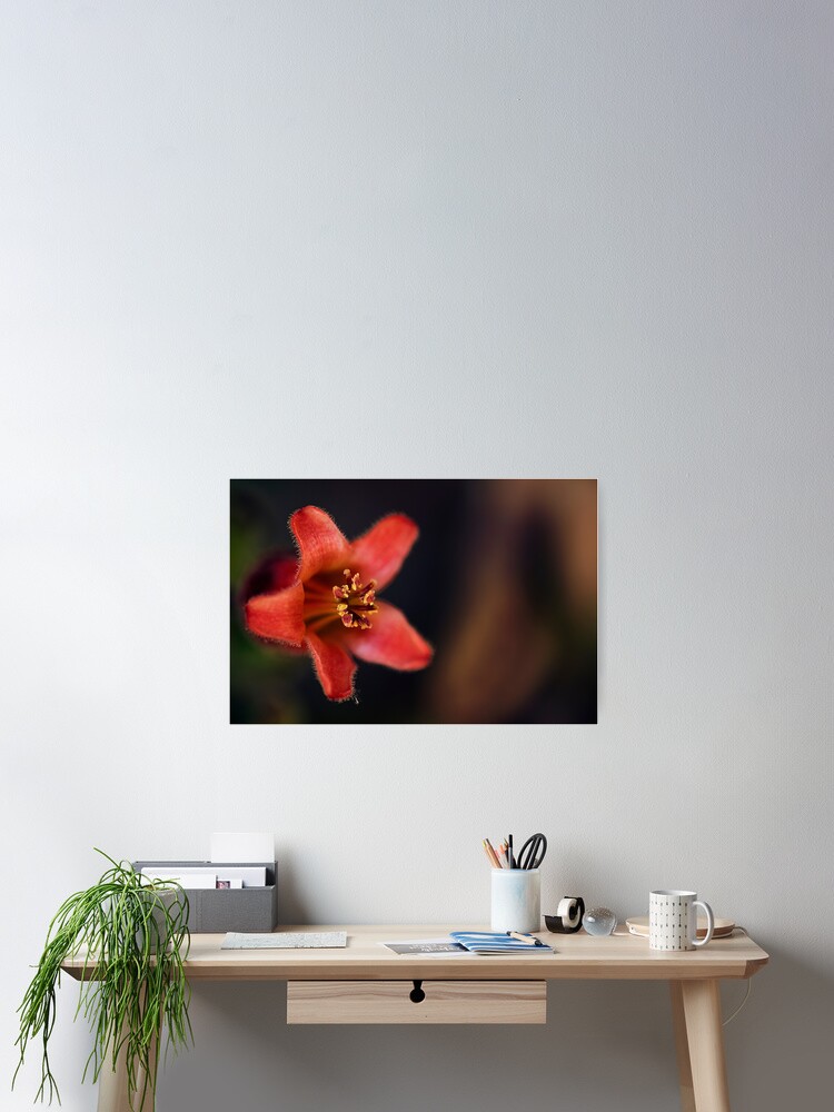 Imagen 2 de 3, Póster con la obra flor suculenta, diseñada y vendida por ILODESIGNS.