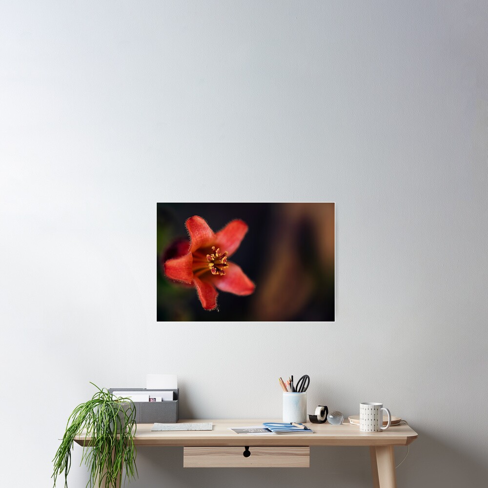 Vista previa del artículo con la obra «Póster», diseñado y vendido por ILODESIGNS.
