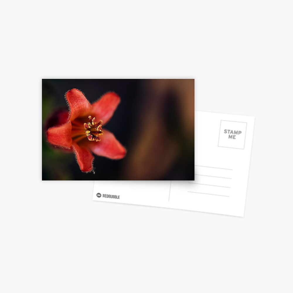 Vista previa del artículo con la obra «Postal», diseñado y vendido por ILODESIGNS.