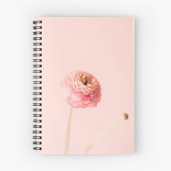 Item preview, Pink - Ranunculus for Valentine Landscape Orientation | Still life flower photography designed and sold by ninasclicks.