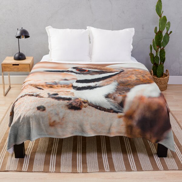Item preview, Nesting Killdeer At The Beach designed and sold by hannahlainphoto.