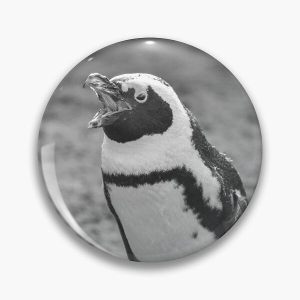 Item preview, Squawking African penguin designed and sold by cdkphotos.