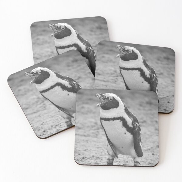 Item preview, Squawking African penguin designed and sold by cdkphotos.