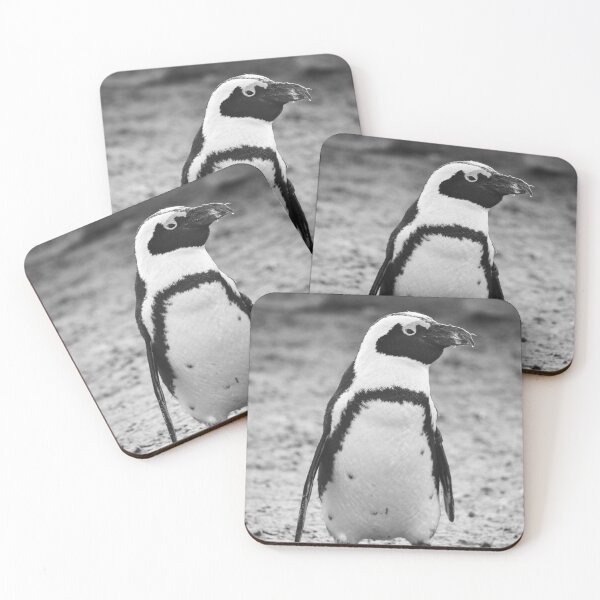 Item preview, Black and white penguin designed and sold by cdkphotos.