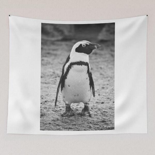 Item preview, Black and white penguin designed and sold by cdkphotos.