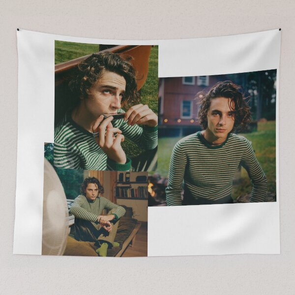 Item preview, Timothèe Chalamet designed and sold by FrancescaNasta.