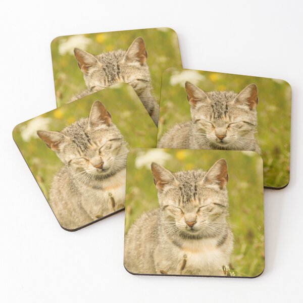 Item preview, blb kitty designed and sold by pcfyi.