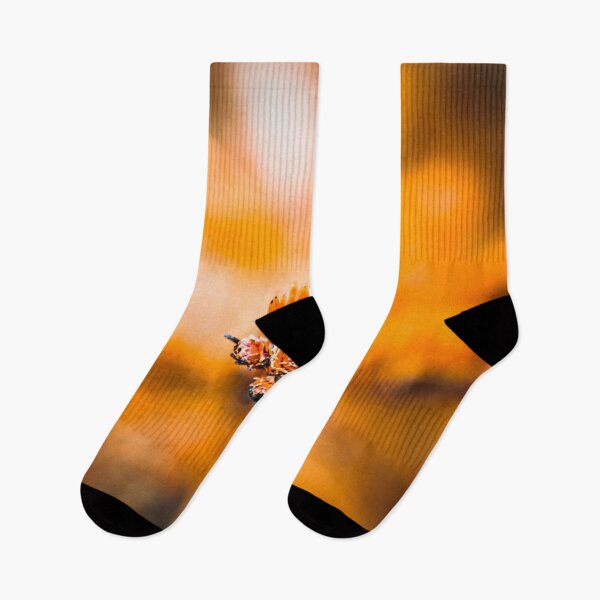 Item preview, Fiery Pine  designed and sold by hannahlainphoto.