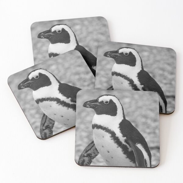 Item preview, Black and white African penguin designed and sold by cdkphotos.