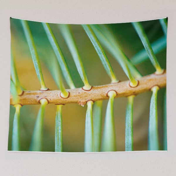 Item preview, Close Up Pine Tree designed and sold by hannahlainphoto.