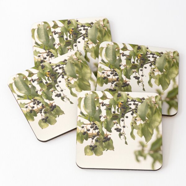 Item preview, blb mackie designed and sold by pcfyi.