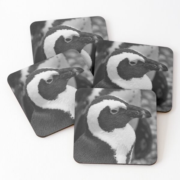 Item preview, Black and white African penguin designed and sold by cdkphotos.