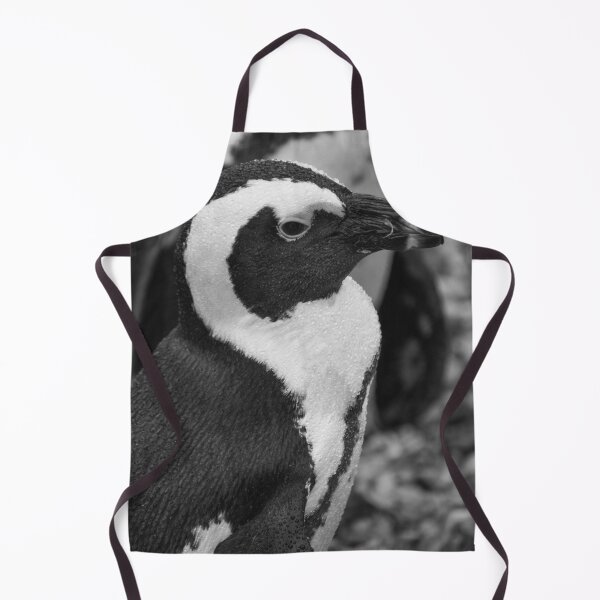 Item preview, Black and white African penguin designed and sold by cdkphotos.