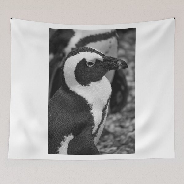 Item preview, Black and white African penguin designed and sold by cdkphotos.