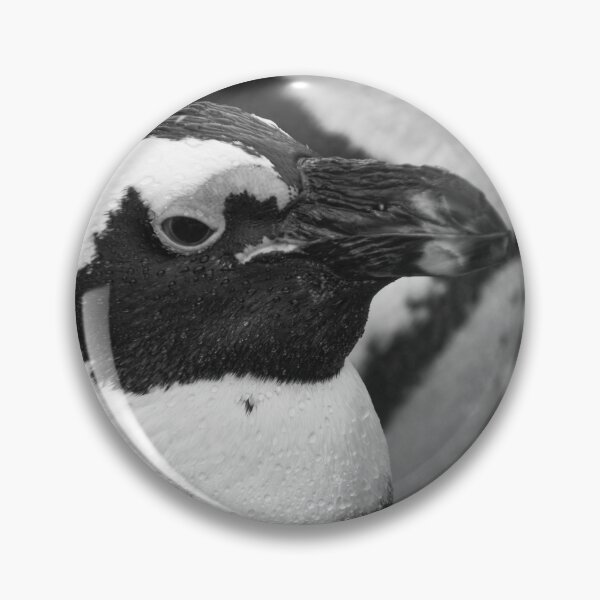Item preview, Black and white penguin designed and sold by cdkphotos.