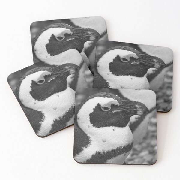 Item preview, Black and white penguin designed and sold by cdkphotos.