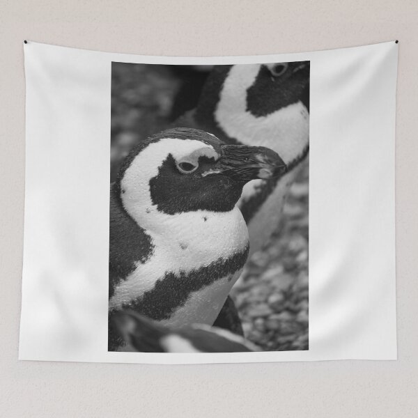 Item preview, Black and white penguin designed and sold by cdkphotos.