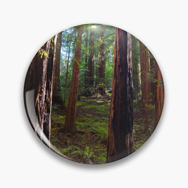 Item preview, Redwood Forest, Redwoods, Muir Woods National Monument designed and sold by naturecdesigns.