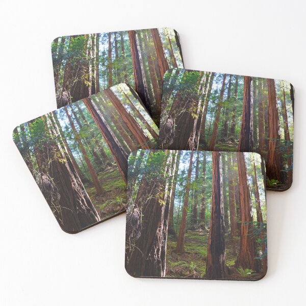 Item preview, Redwood Forest, Redwoods, Muir Woods National Monument designed and sold by naturecdesigns.