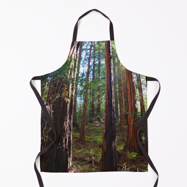 Item preview, Redwood Forest, Redwoods, Muir Woods National Monument designed and sold by naturecdesigns.