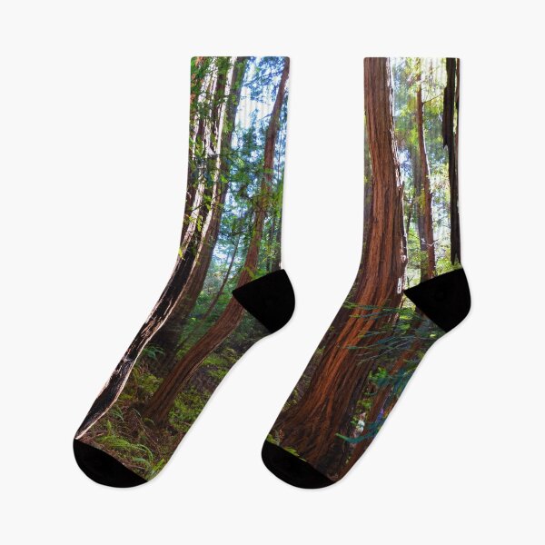 Item preview, Redwood Forest, Redwoods, Muir Woods National Monument designed and sold by naturecdesigns.