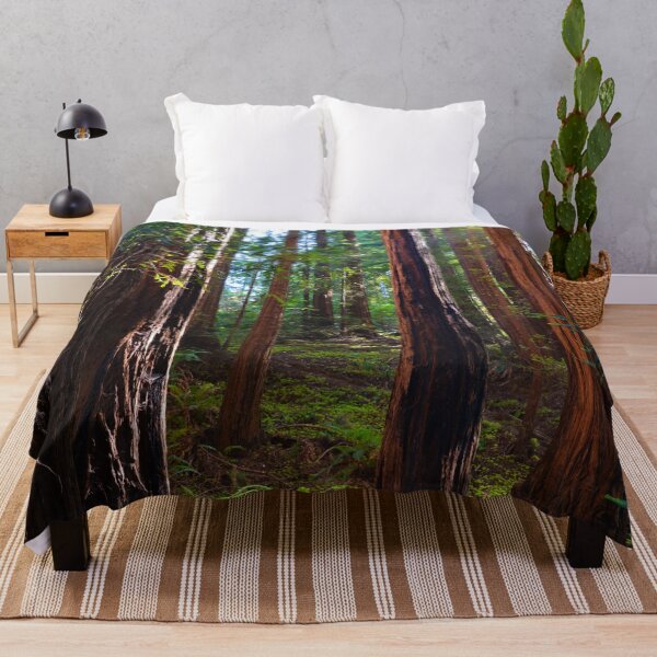 Item preview, Redwood Forest, Redwoods, Muir Woods National Monument designed and sold by naturecdesigns.
